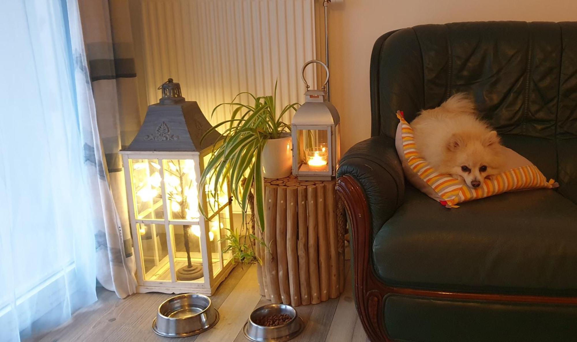 Nergens Apartment Ротердам Екстериор снимка