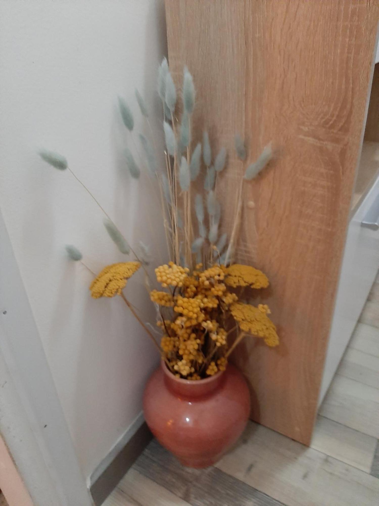 Nergens Apartment Ротердам Екстериор снимка